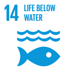 Global Goal 14: Life Below Water